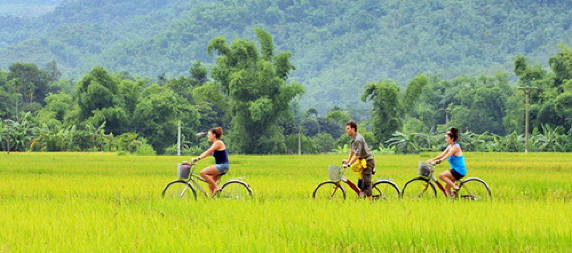 Vietnam Adventure Tour 3 Day Authentic Northwest To Mai Chau - Pu Luong 