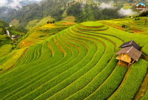 Vietnam Motorbike Adventure: Mu Cang Chai - The Visual Feast Of Verdant Rice Terraces In Vietnam’s Highland