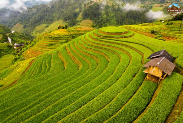 Vietnam Motorbike Adventure: Mu Cang Chai - The Visual Feast Of Verdant Rice Terraces In Vietnam’s Highland