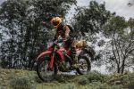 Day 7: (21st Nov, 2025) HA GIANG – DONG VAN (150KM/APPROX. 6 HOURS) (B/L/D)