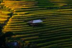 Day 4: (18th Jan) NGHIA LO – MU CANG CHAI (130KM/ APPROX. 4 HOURS) (B/L/D)
