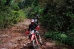 Day 1: (29th March, 2026) Hanoi -  Mai Chau (170 KM/APPROX) (L/D)