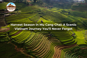 Harvest Season In Mu Cang Chai: A Scenic Vietnam Journey You’ll Never Forget