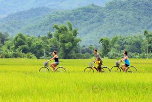 Pu Luong Nature Reserve Is A Great Destination For Nature Lovers 