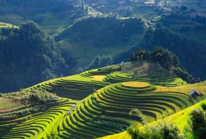 Northern Vietnam Motorbike Tour To Sapa 