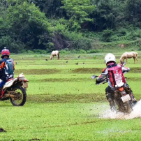 ( 11Th – 18Th May, 2026 ) Northwest Vietnam: 8 Days Carving Through Cloudy Ridges And Mountain Wilds