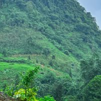 ( 04–10 September 2026 ) Vietnam Unleashed – 7-Day Northwest Motorbike Journey Conquering Mountain Passes