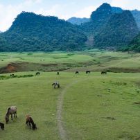 Vietnam Adventure Tour - 6 Day Far North Frontier