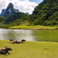 (5Th - 10H Oct, 2025) 6 Day Northern Vietnam Motorcycle Adventure Trip