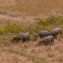 ( 10Th–23Rd Sept 2026 ) 14 Days Across Vietnam: Epic North–South Ride On The Ho Chi Minh Trail