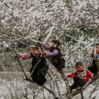 Vietnamese Vistas: A 4-Day Northwest Expedition