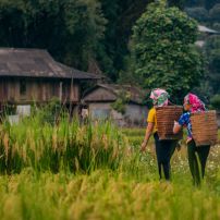 Vietnam Adventure Tour 7 Day Full Far North Frontier Loop