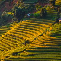 Full Northern Vietnam Adventure Tour