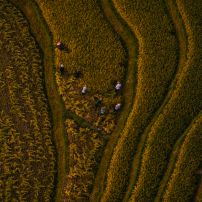 Vietnam Adventure 6-Day Tour To Northwest