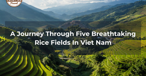 A Journey Through Five Breathtaking Rice Fields In Viet Nam