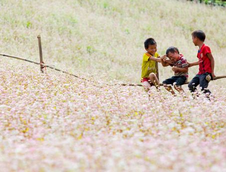 In Which Season Should You Visit Ha Giang?