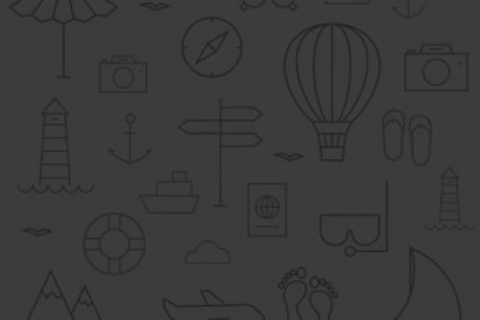 Da Nang greets first flight from Japanes