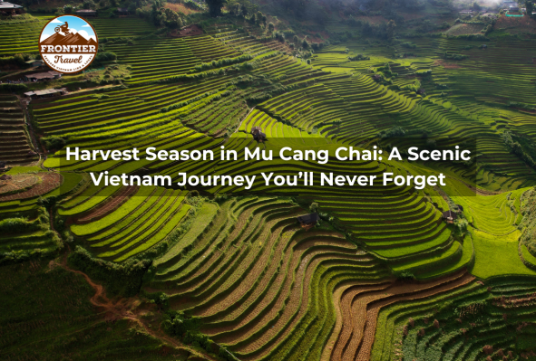 Harvest Season In Mu Cang Chai: A Scenic Vietnam Journey You’ll Never Forget