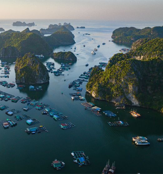 (4Th - 15Th December, 2025) 12-Day Motorcycle Expedition: Unveiling Halong Bay's Majesty In Vietnam