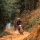 Vietnam's Ultimate Motorcycle Adventure: 7-Day Full Far North Frontier Loop Tour