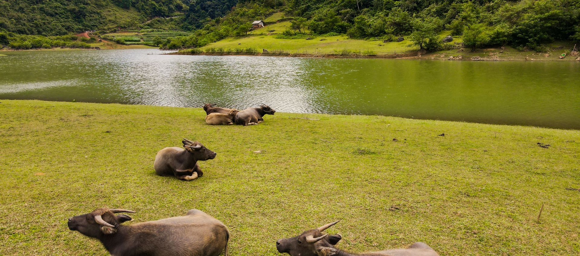 Vietnam Adventure Tour - 4 Day Fast And Furious: Highlights Of The Northeast Mountains