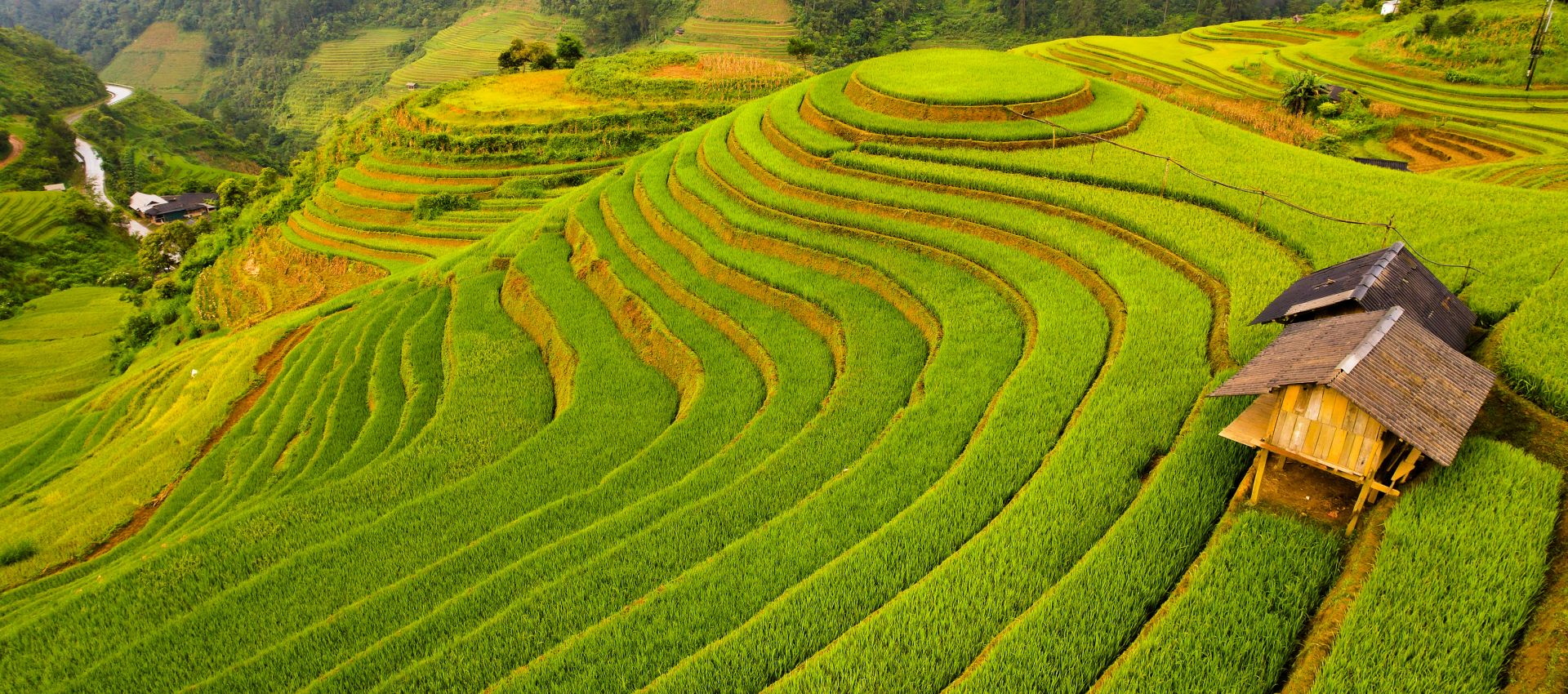 Unforgettable 11-Day Motorbike Tour: Explore The Highlights Of Northwest And Central Vietnam