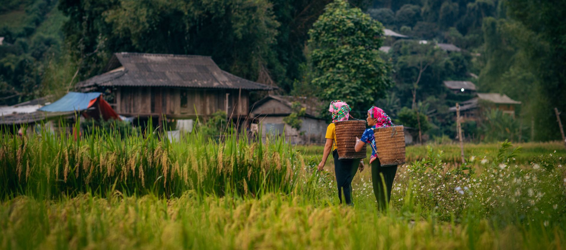 Vietnamese Vistas: A 4-Day Northwest Expedition