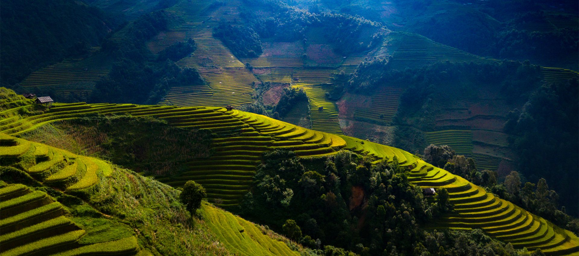 (15Th - 21St January, 2026) 7-Day Motorcycle Adventure Through Northwest Vietnam's Stunning Landscapes