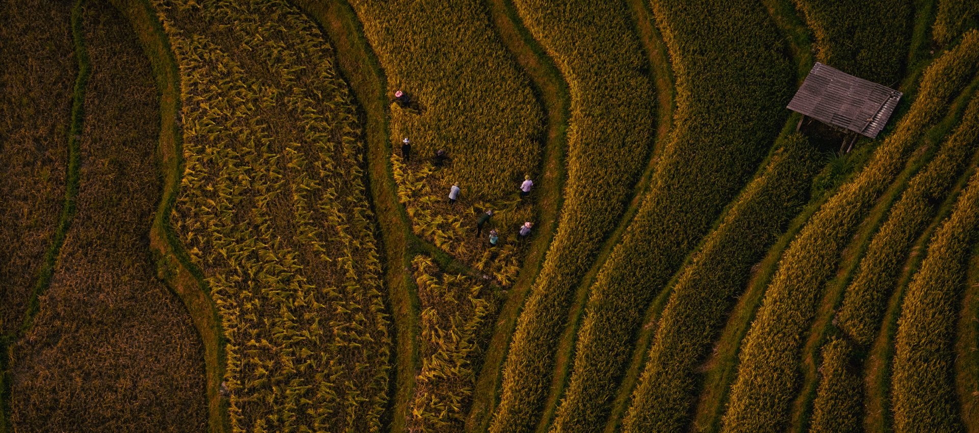 Vietnam Adventure 6-Day Tour To Northwest