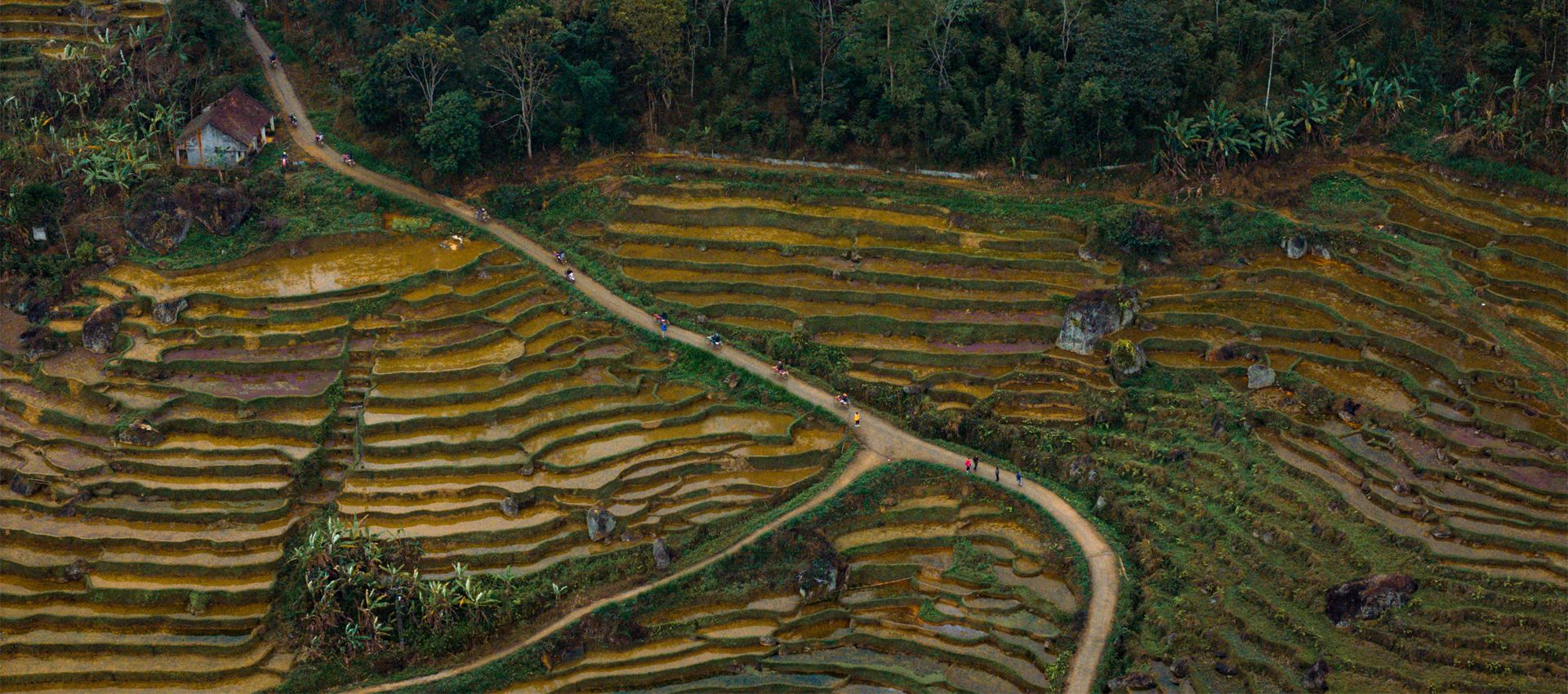 19-Day Full-Throttle Vietnam: Yamaha T7 Adventure Across The Country