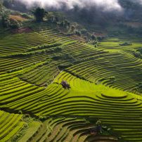 (15Th - 21St January, 2026) 7-Day Motorcycle Adventure Through Northwest Vietnam's Stunning Landscapes