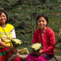 Riding The Clouds: A 8-Day Epic Motorcycle Odyssey Through The Enchanting Northwest Highlands Of Vietnam