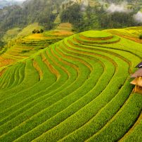 Unforgettable 11-Day Motorbike Tour: Explore The Highlights Of Northwest And Central Vietnam