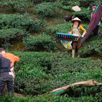 (23Rd February - 1St March, 2026) Conquer Northwest Vietnam: The Ultimate 7-Day Motorcycle Adventure