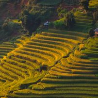 (23Rd February - 1St March, 2026) Conquer Northwest Vietnam: The Ultimate 7-Day Motorcycle Adventure