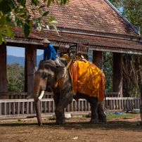 Vietnam - Laos Motorbike Tour Adventure