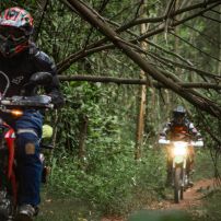 Explore Vietnam: 12-Day Motorcycle Adventure Across Northern Landscapes