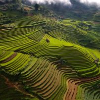 (12Th - 18Th March, 2026) Vietnam's Ultimate Motorcycle Adventure: 7-Day Full Far North Frontier Loop Tour