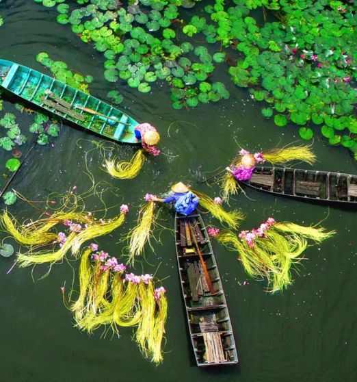 Vietnam Adventure Tour - 3 Day Trip To Mekong Delta