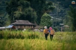 Day 5: (27th July, 2026) MU CANG CHAI – SAPA (160 KM / ~5 HOURS) (B/L/D)