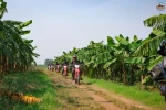 Day 7: (9Th June, 2026) THAC BA – HANOI (180 KM / APPROX. 5 HOURS) (B/L)