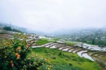 Day 3:  (25th December 2027) Phu Yen – Nghia Lo (130 KM / Approx. 6 Hours) (B/L/D)