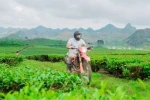 Day 1: (21st Oct, 2027) HANOI – VU LINH (APPROX 180 KM)  (L/D)