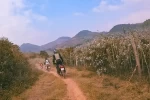 Day 1: (3rd Mar, 2026) HANOI – MAI CHAU (170 KM/ APPROX. 4 HOURS) (B/L)
