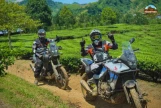Day 4: Ta Xua - Mai Chau (APPROX 200KM) (B/L/D)