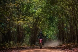 Day 8: (24Th Oct, 2026 ) Hoi An - Mang Den (APPROX 250KM) (B/L/D)