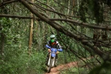 Day 1: Hanoi - Vu Linh (Approx 180km) (L/D)