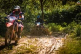 Day 4: (6th September, 2026) NGHIA LO – MU CANG CHAI (130 KM / ~4 HOURS)  (B/L/D)