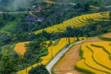 Day 4:  (8th September, 2026) NGHIA LO – MU CANG CHAI (130 KM / ~4 HOURS) (B/L/D)