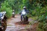 Day 14: (25th Dec) Cat Tien – Saigon (Approx. 160 Km)  (B/L)